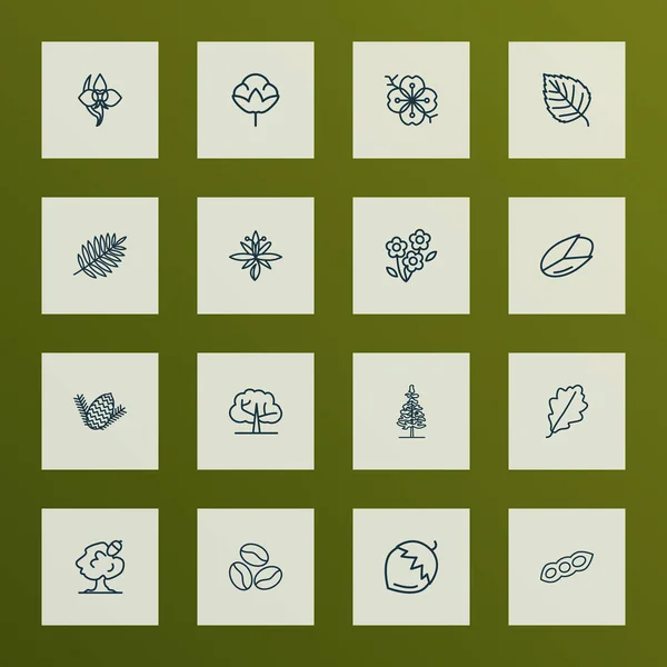 Iconos de la naturaleza línea de estilo conjunto con flor de sakura, roble, avellana y otros elementos de macadamia. Iconos de naturaleza de ilustración vectorial aislada . — Vector de stock