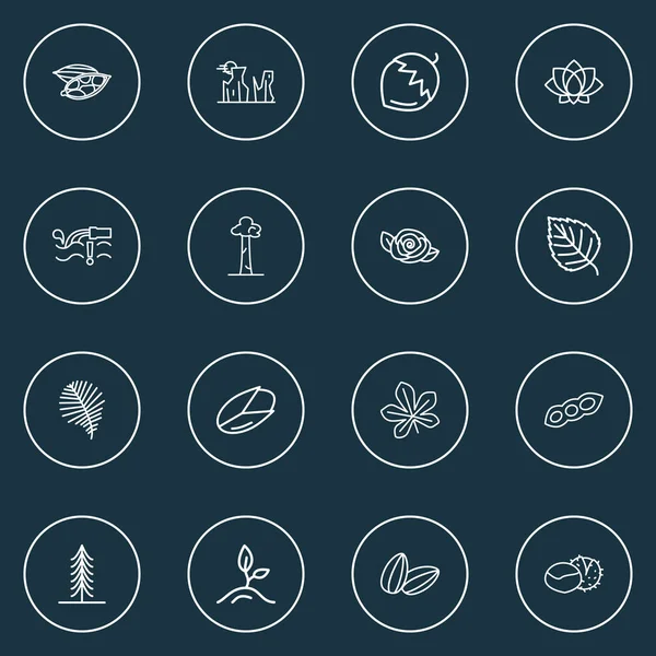 Iconos del mundo estilo de línea conjunto con cañón, cardamon, hoja de castaño y otros elementos de la rosa. Iconos del mundo de la ilustración vectorial aislado . — Vector de stock