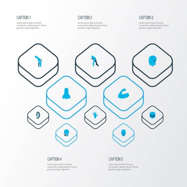 Bölüm simgeler kümesi kafatası, baş, eklem ve diğer el öğeleri ile renkli. İzole illüstrasyon bölümü simgeler.