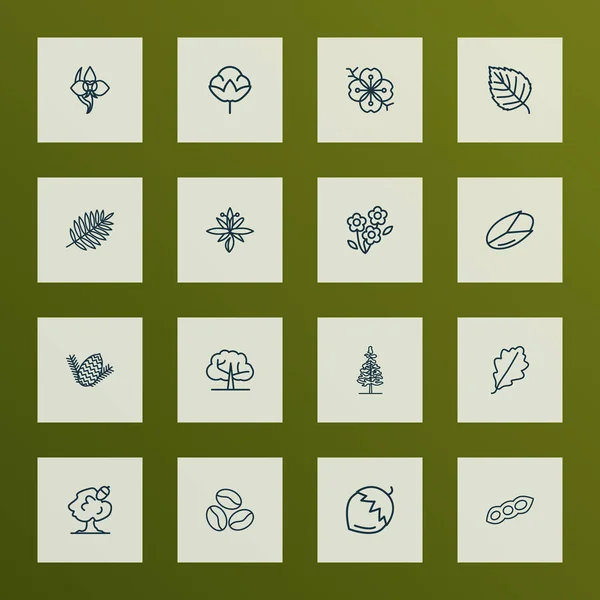 Στυλ γραμμής εικονιδίων αρμονία σετ με λουλούδι sakura, δρυς, παξιμάδι φουντουκιά και άλλα στοιχεία macadamia. Απομονωμένο εικόνα αρμονίας εικονίδια. — Φωτογραφία Αρχείου