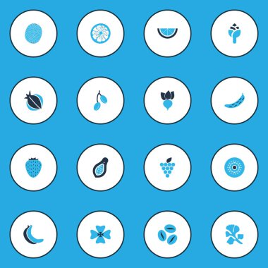 Meyve simgeler kümesi kivi, karanfil, salatalık ve diğer bitki elemanları ile renkli. İzole vektör çizim meyve simgeler.