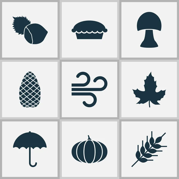 Seasonal icons set with apple pie, wheat, maple and other tart elements. Isolated vector illustration seasonal icons.