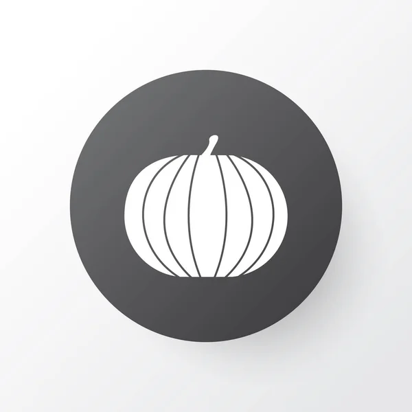 Pumpkin icon symbol. Premium quality isolated gourd element in trendy style.