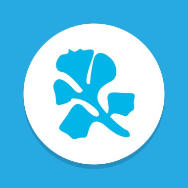 Maydanoz simgesi renkli sembol. Premium kalite izole kişniş öğe trendy tarzı.