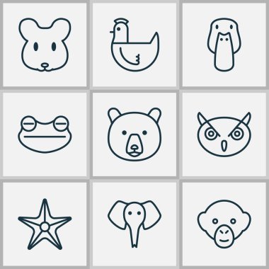 Zooloji simgeler yeşilbaş, fare, deniz yıldızı ve diğer ördek öğeleri ile ayarlayın. İzole vektör çizim zooloji simgeler.