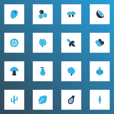 Gıda simgeler kümesi meşe palamudu, ağaç, karnabahar ve diğer Düşes öğeleri ile renkli. İzole vektör çizim gıda simgeler.