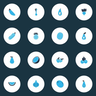 Meyve simgeler kümesi kireç, coco, şalgam ve diğer tazelik öğeleri ile renkli. İzole vektör çizim meyve simgeler.