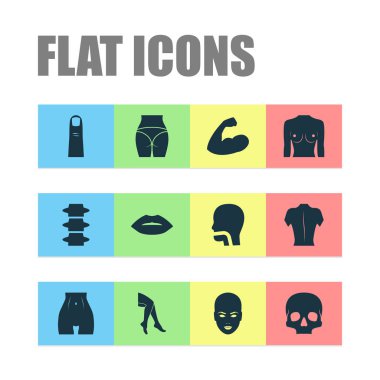 Bacak, kol, omurga ve baş diğer öğeleri ile fiziksel Icons set. İzole vektör çizim fiziksel simgeler.