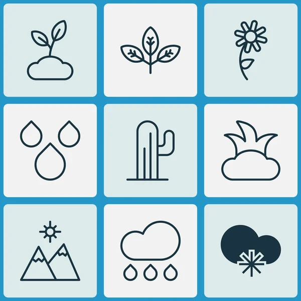 Ecology icons set with snowy weather, shrub, branch and other landscape elements. Isolated vector illustration ecology icons.