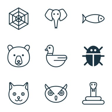 Hayvanat Bahçesi simgeler yılan, ördek, örümcek ağı ve diğer kaz öğeleri ile ayarlayın. İzole vektör çizim Hayvanat Bahçesi simgeler.