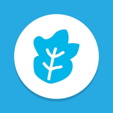 Salata renkli sembol. Kaliteli kalite marul ögesi modada izole edildi.