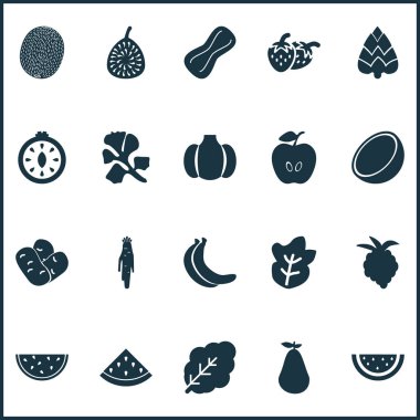 Meyve simgeler kavun, incir, horseradish ve diğer karpuz öğeleri ile ayarlayın. İzole vektör çizim meyve simgeler.