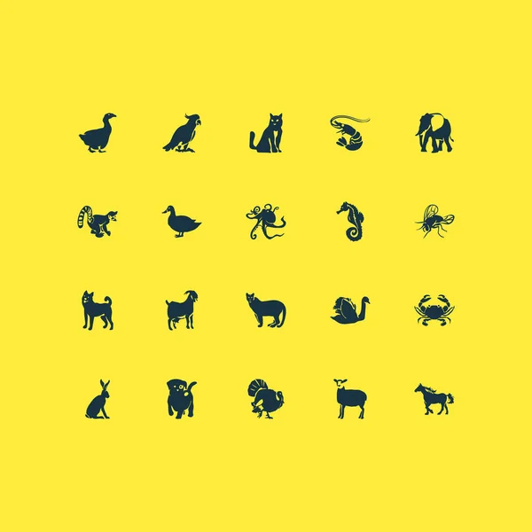 Fauna ikoner set med kakadua, swan, anka och andra papegoja element. Isolerade vektor illustration fauna ikoner. — Stock vektor