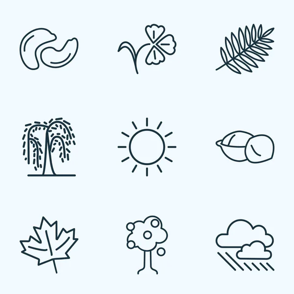 World icons line style set with rowan, macadamia, maple and other leaf elements. Isolated vector illustration world icons. — Stock Vector