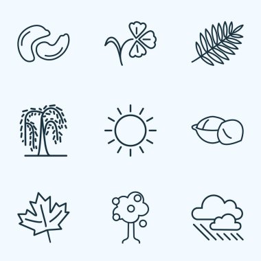 Dünya simgeleri stil rowan, macadamia, akçaağaç ve diğer yaprak öğeleri kümesi satır. İzole illüstrasyon dünya simgeleri.