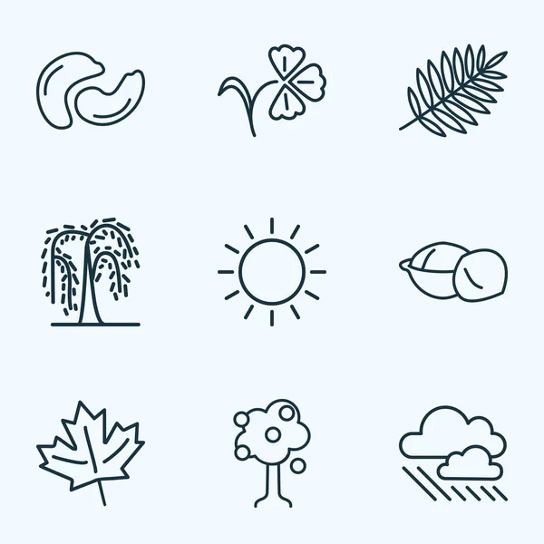 World icons line style set with rowan, macadamia, maple and other leaf elements. Isolated  illustration world icons.