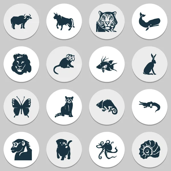 Állati ikonok beállítása, pillangó, ökör, kiskutya és mosómedve elemeivel. Elszigetelt ábra állati ikonok. — Stock Fotó