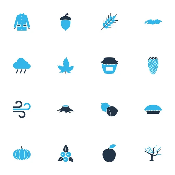 Icone di stagione colorate con pigna, acero, zucca e altri elementi di ghianda. Isolato illustrazione stagione icone . — Foto Stock
