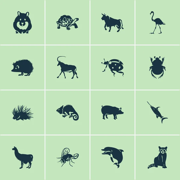 Icônes d'animaux avec coccinelle, raton laveur, taureau et autres éléments de bœuf. Illustration vectorielle isolée icônes animales . — Image vectorielle