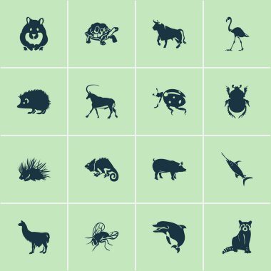 Hayvanat Bahçesi Icons set ile uğur böceği, rakun, boğa ve diğer öküz öğeleri ile. İzole illüstrasyon Hayvanat Bahçesi simgeler.