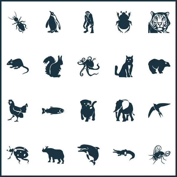 Ícones do zoológico conjunto com rinoceronte, golfinho, polvo e outros elementos de esquilo. Ícones isolados do zoológico da ilustração do vetor . — Vetor de Stock