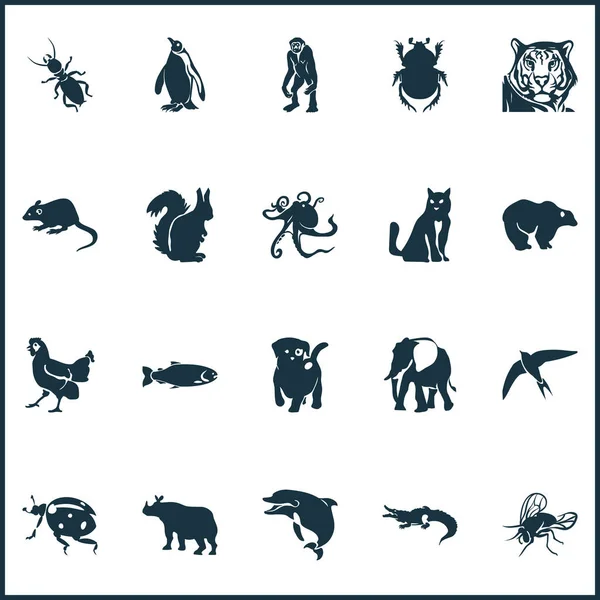 Zoo icons set with rhino, dolphin, octopus and other chipmunk elements. Isolated vector illustration zoo icons. — Stock Illustration Zoo icons set with rhino, dolphin, octopus and other chipmunk elements. Isolated vector illustration zoo icons. Royalty Free Stock Vectors