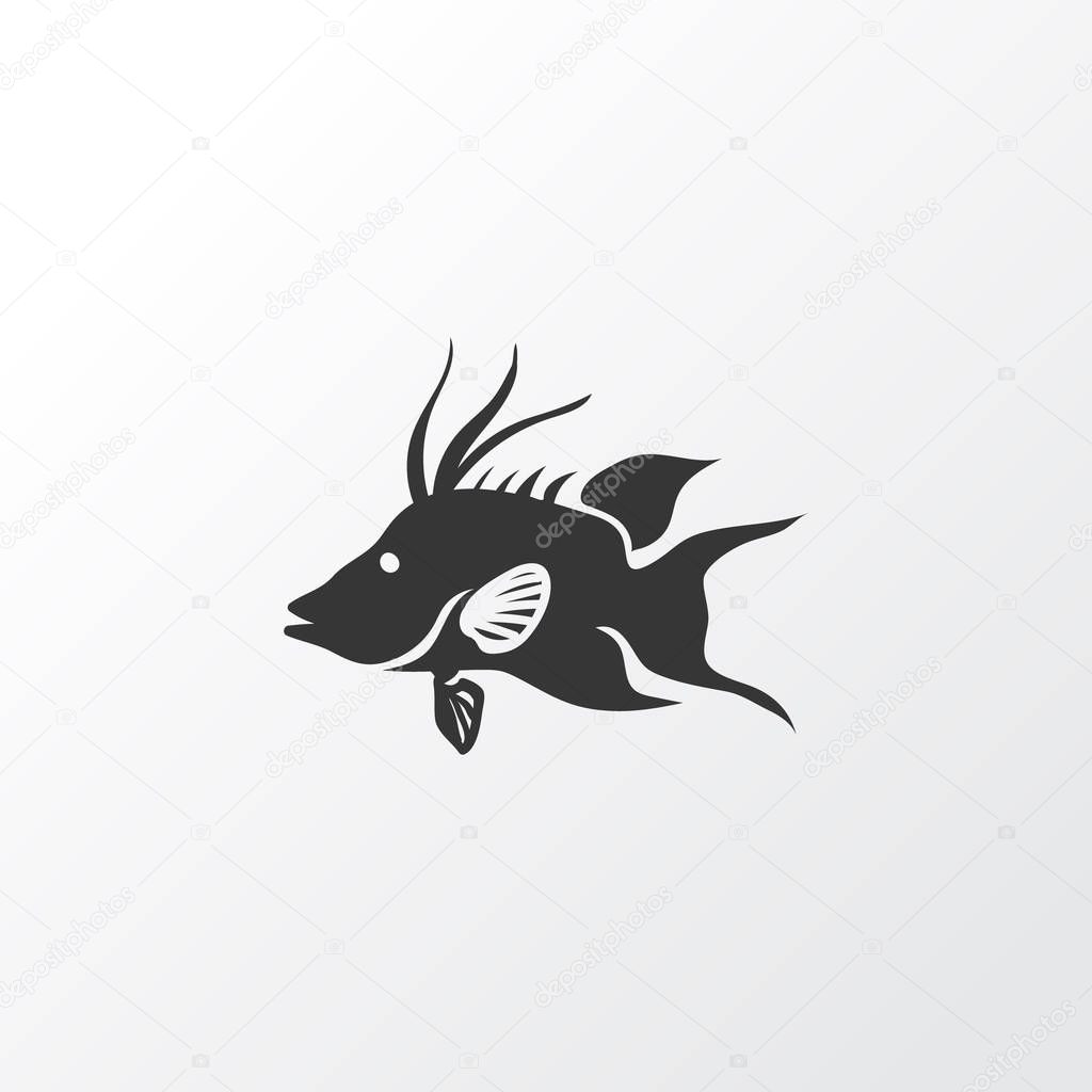 Hogfish icon symbol. Premium quality isolated aquatic element in trendy style.