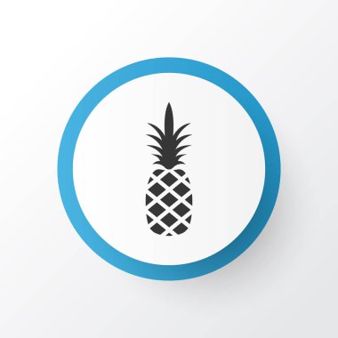 Ananas simgesi simgesi. Üstün kaliteli moda stil öğesinde Ananas izole.