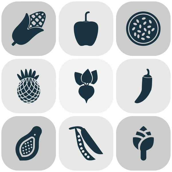 Овочеві ікони встановлюються з корінням, папайєю, ананасами та іншими елементами кайенна. Ізольовані ілюстрації овочевих значків . — стокове фото