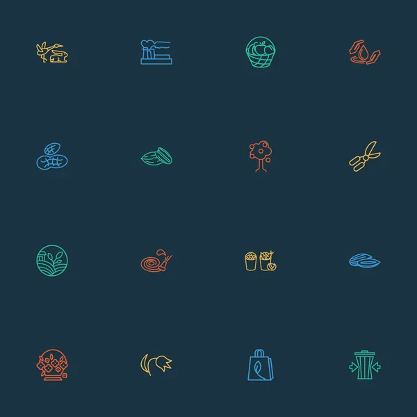 Nature Icons Line Stil-Set mit Pekannüssen, Fauna, Luftverschmutzung und anderen Walnuss-Elementen. isolierte Illustration Natur-Ikonen. — Stockfoto