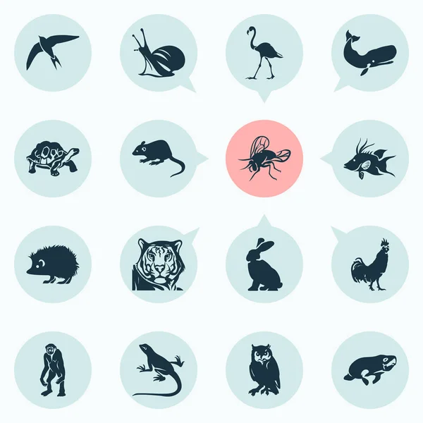 Fauna pictogrammen instellen met cachalote, seacow, swift en andere bunny-elementen Geïsoleerde vector illustratie fauna pictogrammen. — Stockvector