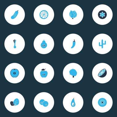 Sebze simgeler kümesi tazelik, pırasa, elma ve diğer salatalık öğeleri ile renkli. İzole illüstrasyon sebze simgeler.