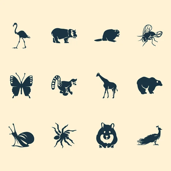 Zoo icônes ensemble avec hamster, araignée, papillon et d'autres éléments de la chouette. Illustration vectorielle isolée icônes de zoo . — Image vectorielle