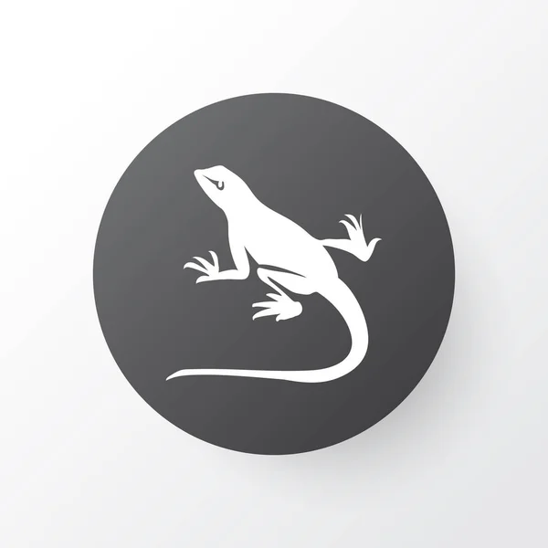 Lizard icon symbol. Premium quality isolated gecko element in trendy style. — Stock Photo, Image