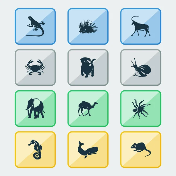 Zoo icons set with antelope, snail, sea horse and other gecko elements. Isolated illustration zoo icons. — Stock Image Zoo icons set with antelope, snail, sea horse and other gecko elements. Isolated illustration zoo icons. Royalty Free Stock Images