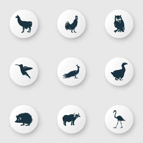 Иконки зоопарка украшены быками, совами, ёжиками и другими элементами альпаки. Изолированные векторные иконки зоопарка . — стоковый вектор
