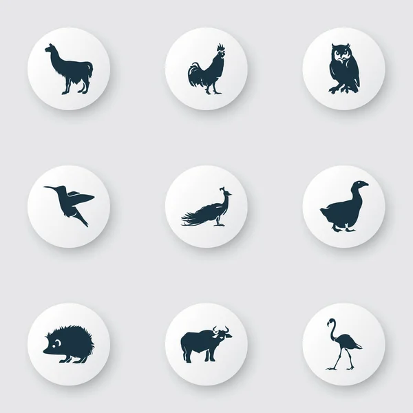 Conjunto de iconos de fauna con buey, búho, erizo y otros elementos de alpaca. Iconos de fauna de ilustración aislada . — Foto de Stock