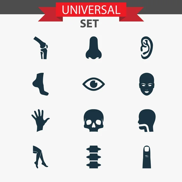 Значки для тела с лицом, ухом, пальцем и другими элементами головы. Изолированные иконки тела . — стоковое фото