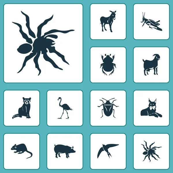 Zvířecí ikony sada s chyba, myš, brouk a jiné prvky šváb. Izolované ilustrace zvířat ikony. — Stock fotografie