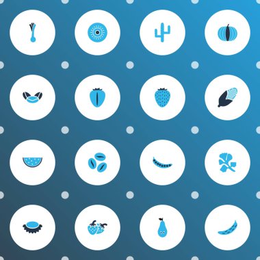 Sebze simgeler kümesi maydanoz, pırasa, kahve çekirdeği ve diğer kivi öğeleri ile renkli. İzole vektör çizim sebze simgeler.