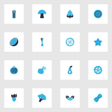 Meyve simgeler kümesi barbunya fasulyesi, coco, pırasa ve diğer yeşil soğan öğeleri ile renkli. İllüstrasyon izole meyve simgeler.