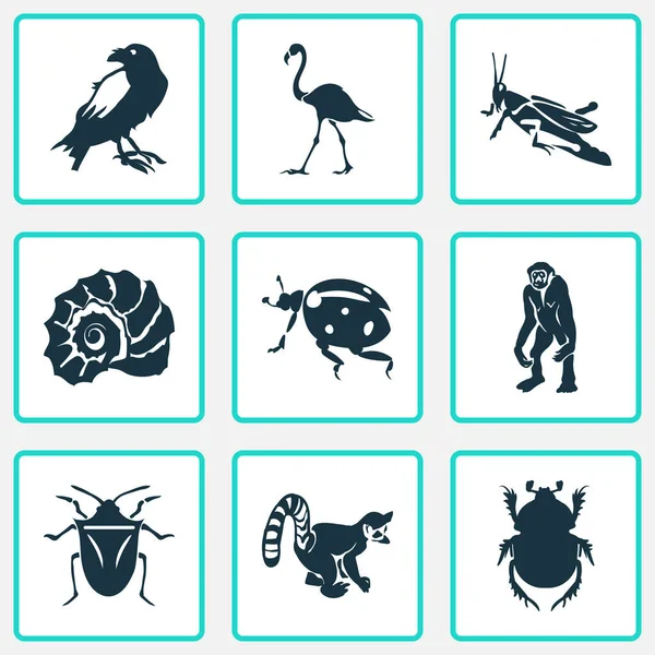 Conjunto de iconos del zoológico con cuervo, saltamontes, insectos y otros elementos de plumaje. Iconos de zoológico de ilustración aislada . —  Fotos de Stock