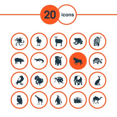 Fauna simgeler domuz, tavşan, kirpi ve diğer hatlı hayvan öğeleri ile ayarlayın. İzole vektör çizim fauna simgeler.