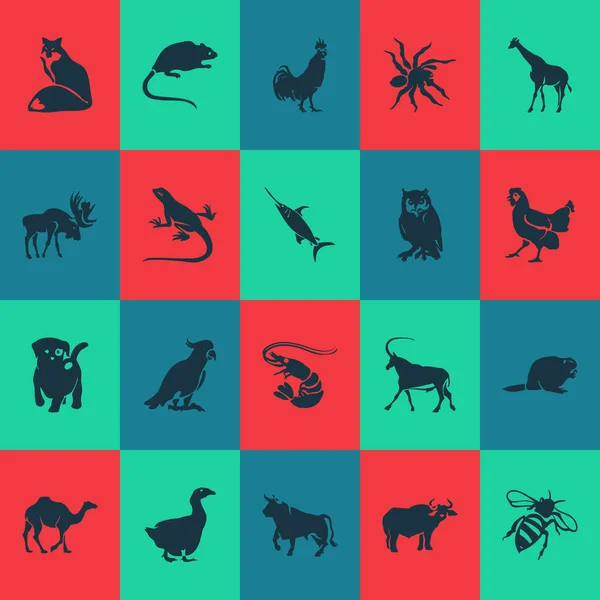 Tiersymbole mit Hahn, Garnelen, Schwertfisch und anderen Papageienelementen. isolierte Vektor Illustration Tier Symbole. — Stockvektor