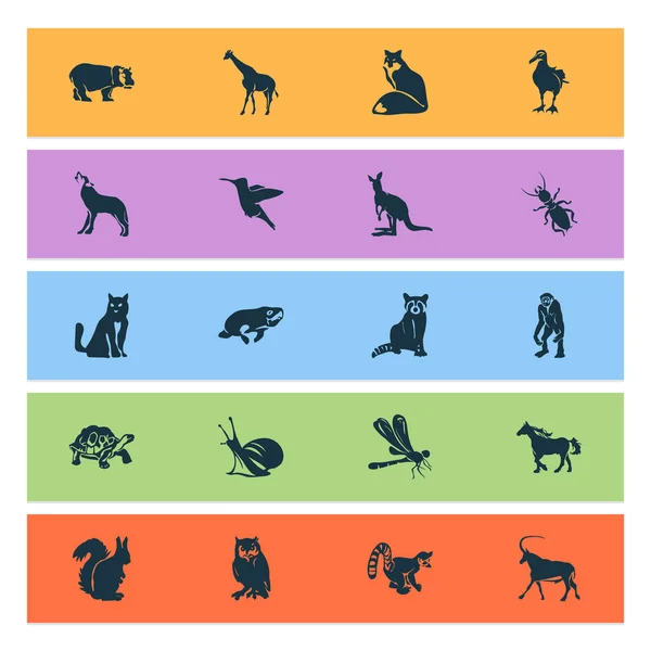 动物图标设置蜗牛, 狐猴, 蜂鸟和其他白蚁元素。被隔绝的例证动物图标. — 图库照片