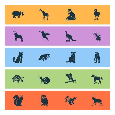 Hayvan simgeler salyangoz, lemur, sinek ve diğer termit öğeleri ile ayarlayın. İzole vektör çizim hayvan simgeler.