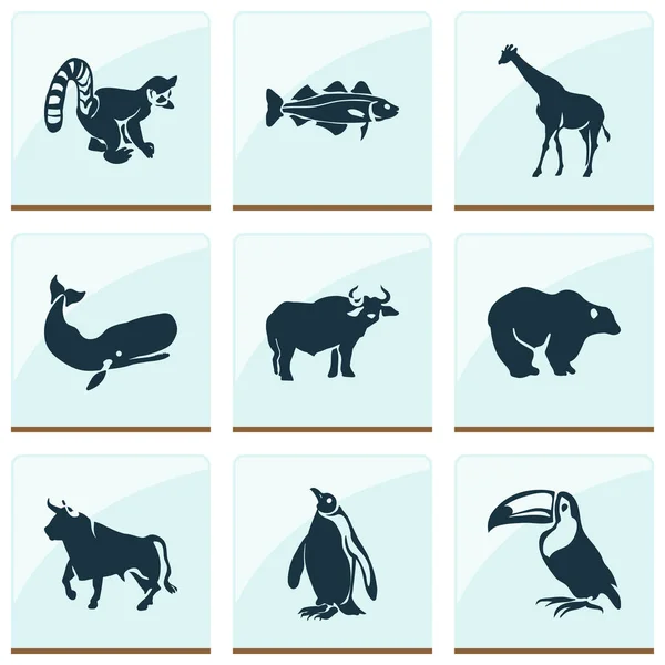 Ícones de animais com tucano, pinguim, bacalhau e outros elementos de camelopardo. Isolado vetor ilustração ícones animais . — Vetor de Stock