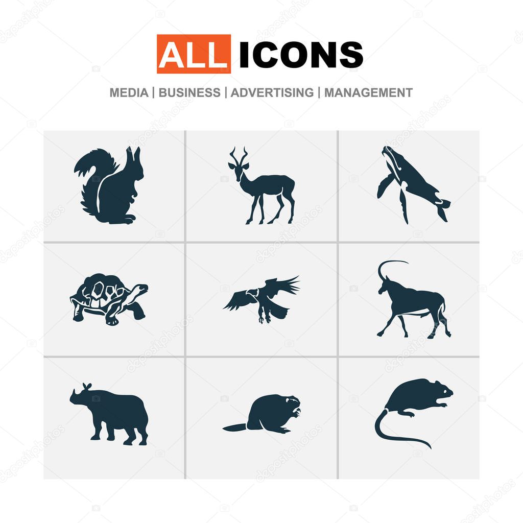 Fauna icons set with beaver, turtle, impala and other muskrat elements. Isolated vector illustration fauna icons.