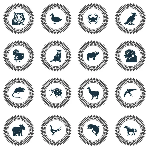 Conjunto de iconos del zoológico con faisán, vencejo, caballo y otros elementos avícolas. Iconos de zoológico de ilustración aislada . —  Fotos de Stock