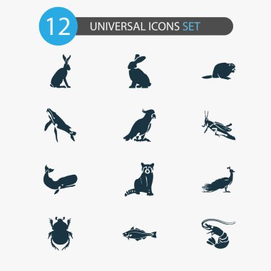Kunduz, mezgit balığı, papağan ve diğer tavşan öğeleri ile hayvan Icons set. İzole vektör çizim hayvan simgeler.